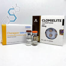 Cargar imagen en el visor de la galería, Paquete Post-ciclo para principiantes o intermedios | Gonadotropina (HCG), &amp; Clomifeno Post-ciclo Variedad de laboratorios - Super Soldados